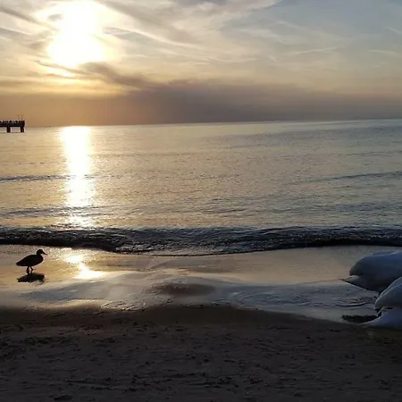 Near By Sea And Center Of アパート *