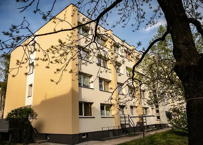 Near By Sea And Center Of * Palanga